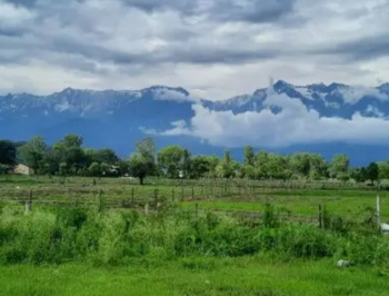 Residential Plot for Sale in Khanyara Road, Dharamshala (19 Marla)