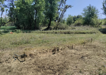 Residential Plot for Sale in Dari, Dharamshala (20 Marla)