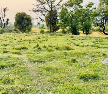 Residential Plot for Sale in Sidhbari, Dharamshala (40 Marla)