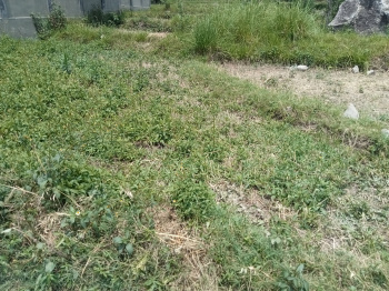 Residential Plot for Sale in Dari, Dharamshala (22 Marla)