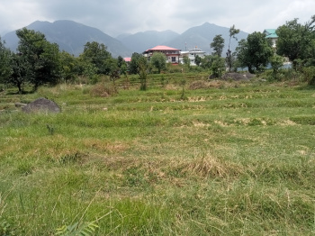 Residential Plot for Sale in Sidhpur, Dharamshala (32 Marla)