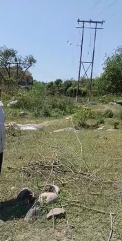 Residential Plot for Sale in Gharoh, Dharamshala (17 Marla)