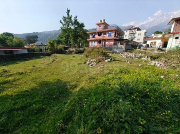 Residential Plot for Sale in Banuri, Palampur (14 Marla)