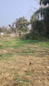 Residential Plot for Sale in Tapovan, Dharamshala (12 Marla)