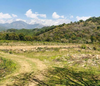 Residential Plot for Sale in Chohla, Dharamshala (40 Marla)