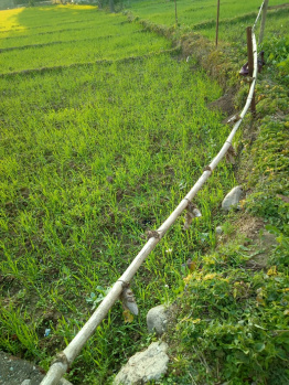 Residential Plot for Sale in Gharoh, Dharamshala (11 Marla)