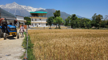 Residential Plot for Sale in Sakoh, Kangra (17 Marla)