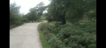Commercial Lands /Inst. Land for Sale in Tang Narwana, Dharamshala (100 Marla)