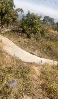 Residential Plot for Sale in Matour, Kangra (12 Marla)