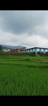 Residential Plot for Sale in Dari, Dharamshala (12 Marla)
