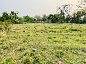 Residential Plot for Sale in Rait, Kangra (120 Marla)