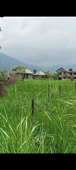 Residential Plot for Sale in Dari, Dharamshala (16 Marla)