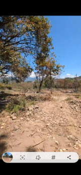 Residential Plot for Sale in Gharoh, Dharamshala (900 Marla)