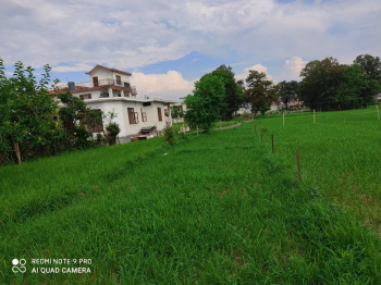 Residential Plot for Sale in Rait, Kangra (12 Marla)