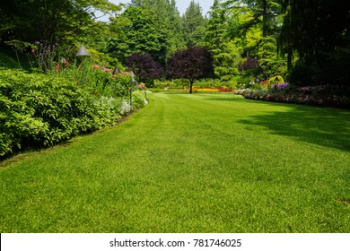 Residential Plot for Sale in Palampur Road, Dharamshala (45 Marla)