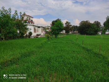 Residential Plot for Sale in Nagrota Bagwan, Kangra (100 Marla)