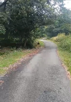 Residential Plot for Sale in Sidhbari, Dharamshala (13 Marla)