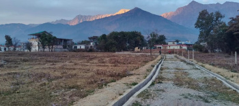 Residential Plot for Sale in Tang Narwana, Dharamshala (19 Marla)