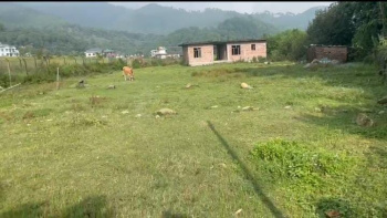 Residential Plot for Sale in Chimbalhar, Palampur (160 Marla)
