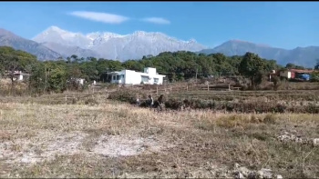 Residential Plot for Sale in Palampur Road, Dharamshala (60 Marla)