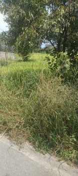 28 Marla Residential Plot for Sale in Balaji Vihar, Kangra