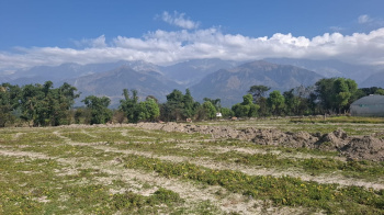Residential Plot for Sale in Palampur Road, Dharamshala (320 Marla)