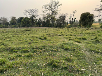Residential Plot for Sale in Chimbalhar, Palampur (60 Marla)