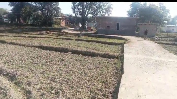 160 Marla Residential Plot for Sale in Rakkar, Kangra
