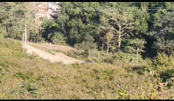 600 Marla Residential Plot for Sale in Palampur, Kangra