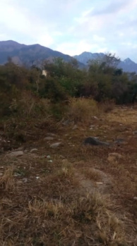 Residential Plot for Sale in Palampur Road, Dharamshala (50 Marla)