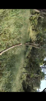 Residential Plot for Sale in Amb, Una (6300 Marla)