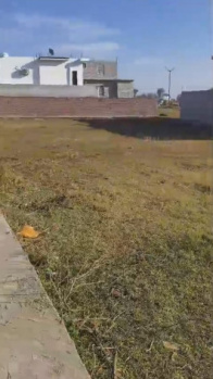 Residential Plot for Sale in Shahpur, Kangra (22 Marla)