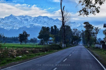 Residential Plot for Sale in Nagrota Bagwan, Kangra (80 Marla)