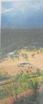 Commercial Lands /Inst. Land for Sale in Sukkad Road, Dharamshala (140 Marla)