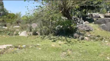 Residential Plot for Sale in Sukkad Road, Dharamshala (20 Marla)