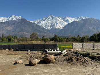 Residential Plot for Sale in Tang Narwana, Dharamshala (400 Marla)