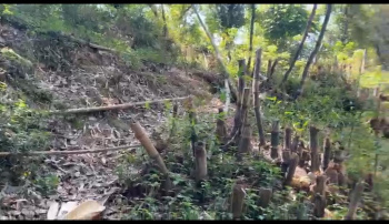 Residential Plot for Sale in Tang Narwana, Dharamshala (7 Marla)