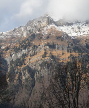 Residential Plot for Sale in Ram Nagar, Dharamshala (17 Marla)