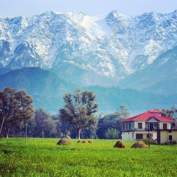 Residential Plot for Sale in Shyam Nagar, Dharamshala (21 Marla)