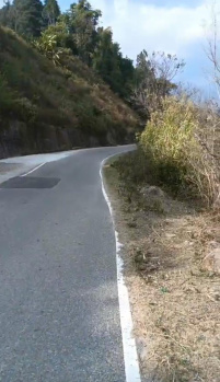 Commercial Lands /Inst. Land for Sale in Nagrota Bagwan, Kangra (23 Marla)