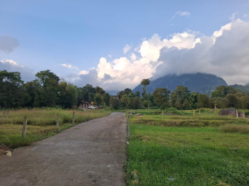 Residential Plot for Sale in Khanyara Road, Dharamshala (20 Marla)