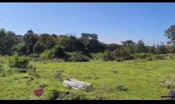 Residential Plot for Sale in Holta, Palampur (260 Marla)