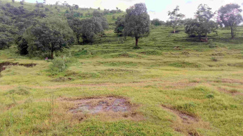 Property for sale in Kamshet, Pune