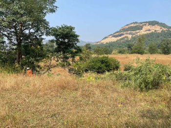 100 Acre Agricultural/Farm Land for Sale in Khalapur, Navi Mumbai