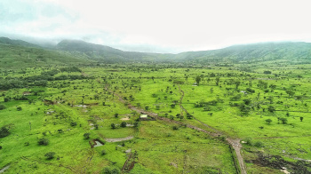 Agricultural/Farm Land for Sale in Maval, Pune (3.5 Acre)