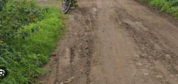 LAND IN KOREGAONPARK IN GOOD SOCIETY