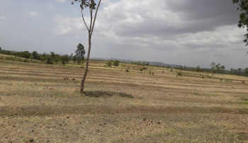 INDUSTRIAL FREE HOLD LAND in TALEGAON PUNE