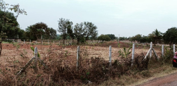AGRILAND IN TISRI MUMBAI(NAVI MUMBI)