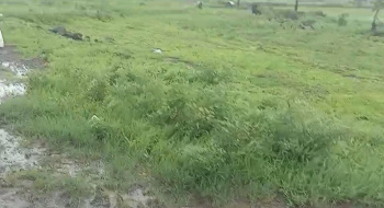 Agricultural/Farm Land for Sale in Pavana Nagar, Pune (7 Acre)