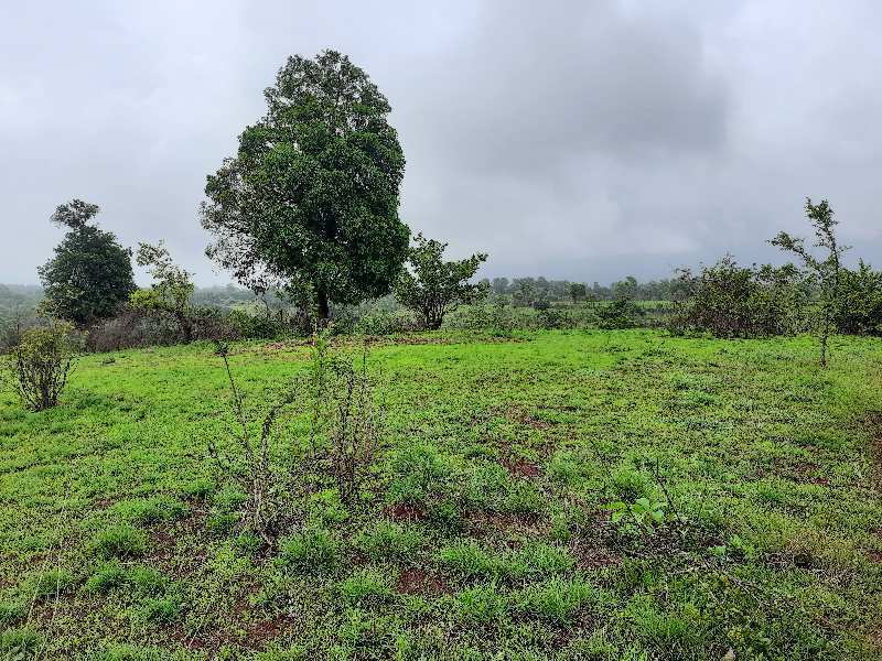 161 Acre Agricultural/Farm Land for Sale in Maval, Pune